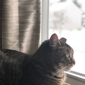 Meet your Posher, Lynn